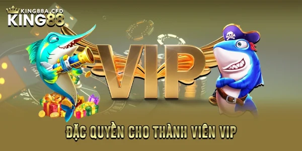 Đặc quyền cho thành viên VIP